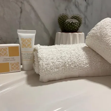 ベッド・アンド・ブレックファスト Le Temple Du Luxe